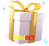 Receba seus bônus de boas-vindas no Wildbet